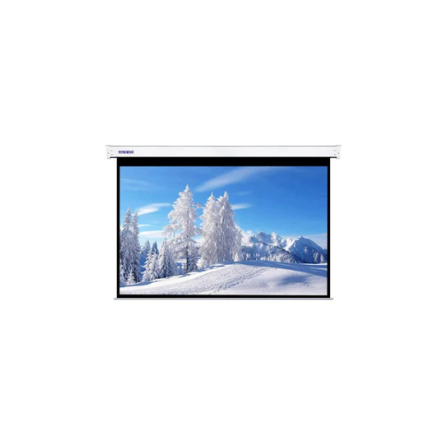Electric Projector Screen 300 x 300 cm ( 118 by 118 Inches)